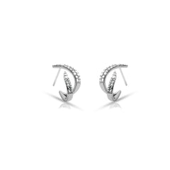 Celeste Curve Studs Style Earrings