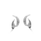 Celeste Curve Studs Style Earrings