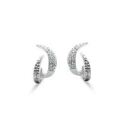 Celeste Curve Studs Style Earrings