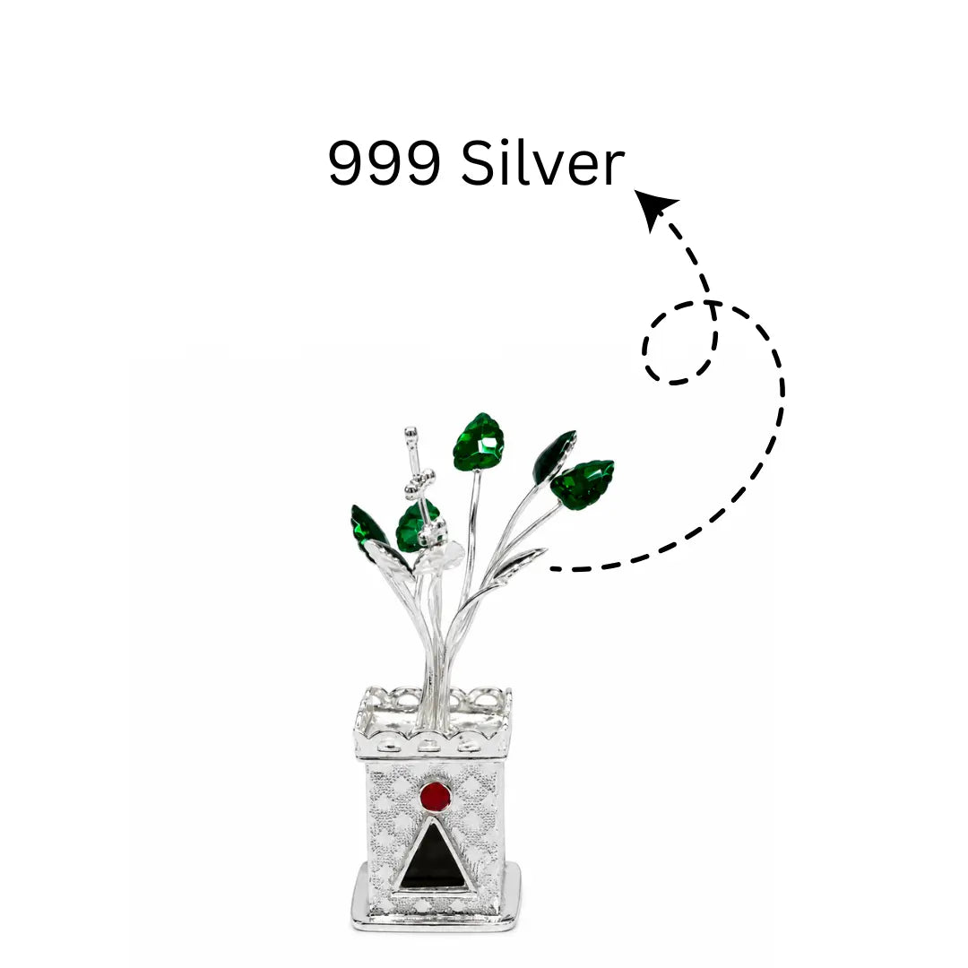 999 Silver Tulsi Plant Mashha