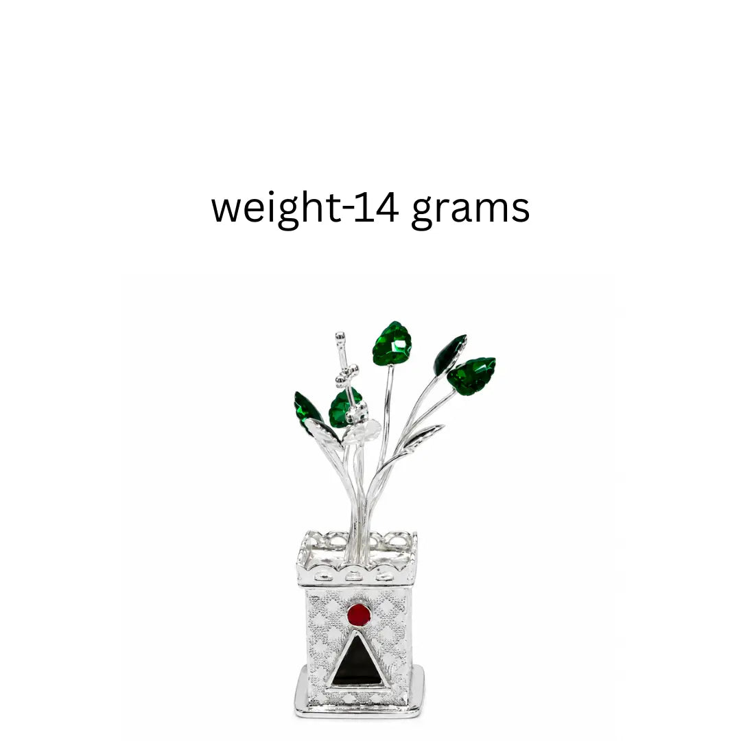 999 Silver Tulsi Plant Mashha