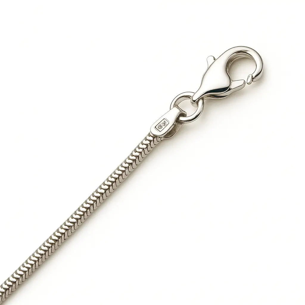 Silver chain with clasp on a white background