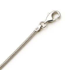 Silver chain with clasp on a white background