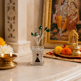 999 Silver Tulsi Plant Mashha