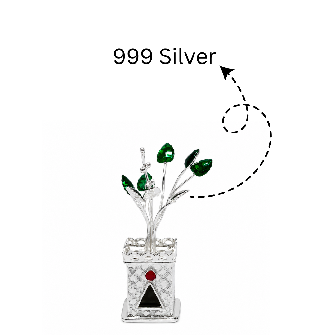 999 Silver Tulsi Plant Mashha