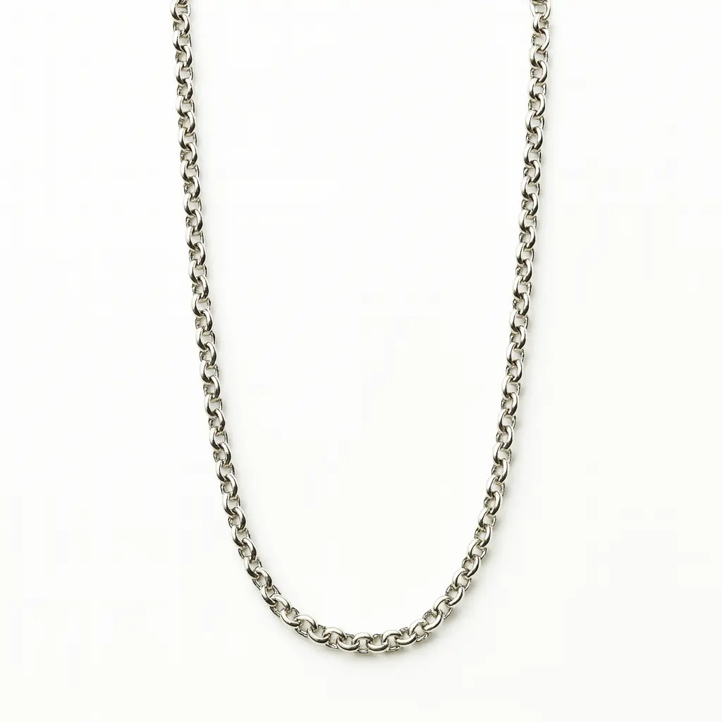 Silver chain necklace on a white background
